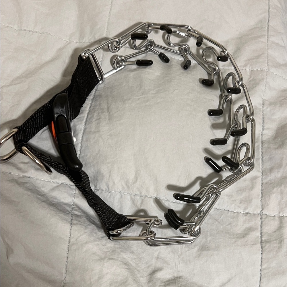 NEW! Metal Prong Dog Collar
